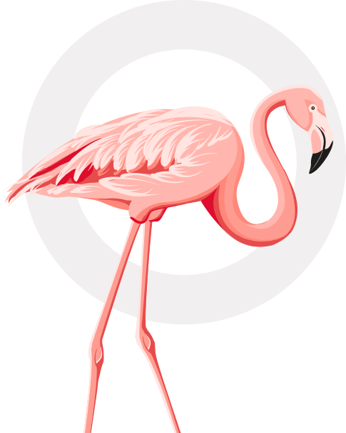 flamingo