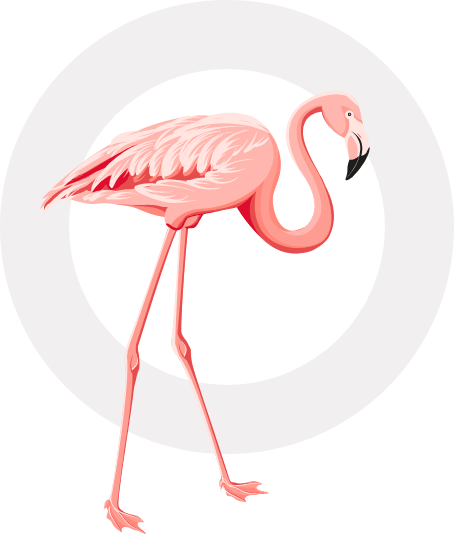 flamingo